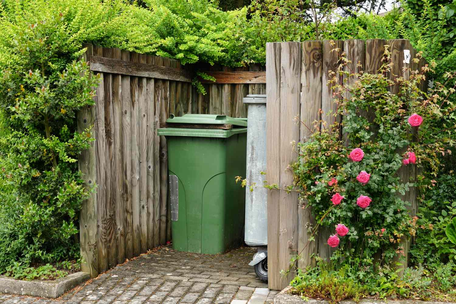 Utilisation d'un treillis en bois et de plantes grimpantes pour cacher les poubelles